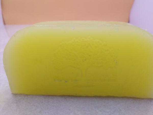 Coconut and Lime - Argan Solid Shampoo - Saboena