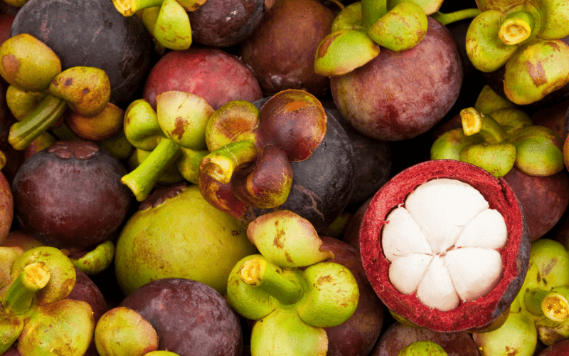 Tropical Mangosteen Soap handmade natural soap - Saboena